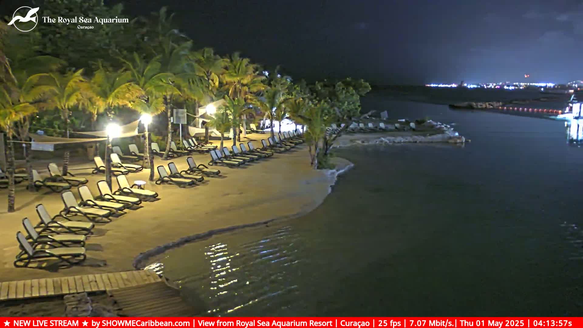 A nighttime view of a sandy beach with empty lounge chairs under palm trees, illuminated by lights, next to calm water.