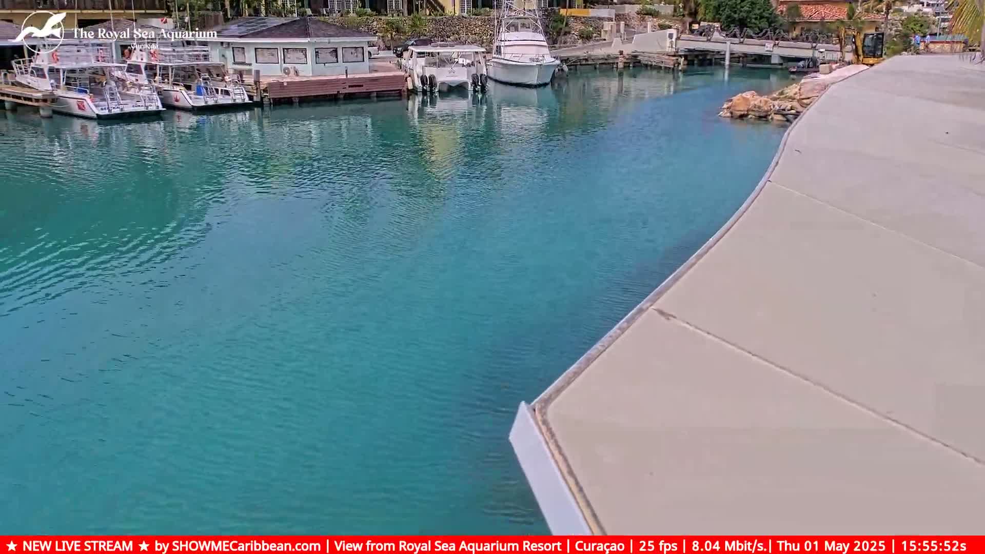 Calm, teal water laps against a light-colored concrete surface near several docked boats.