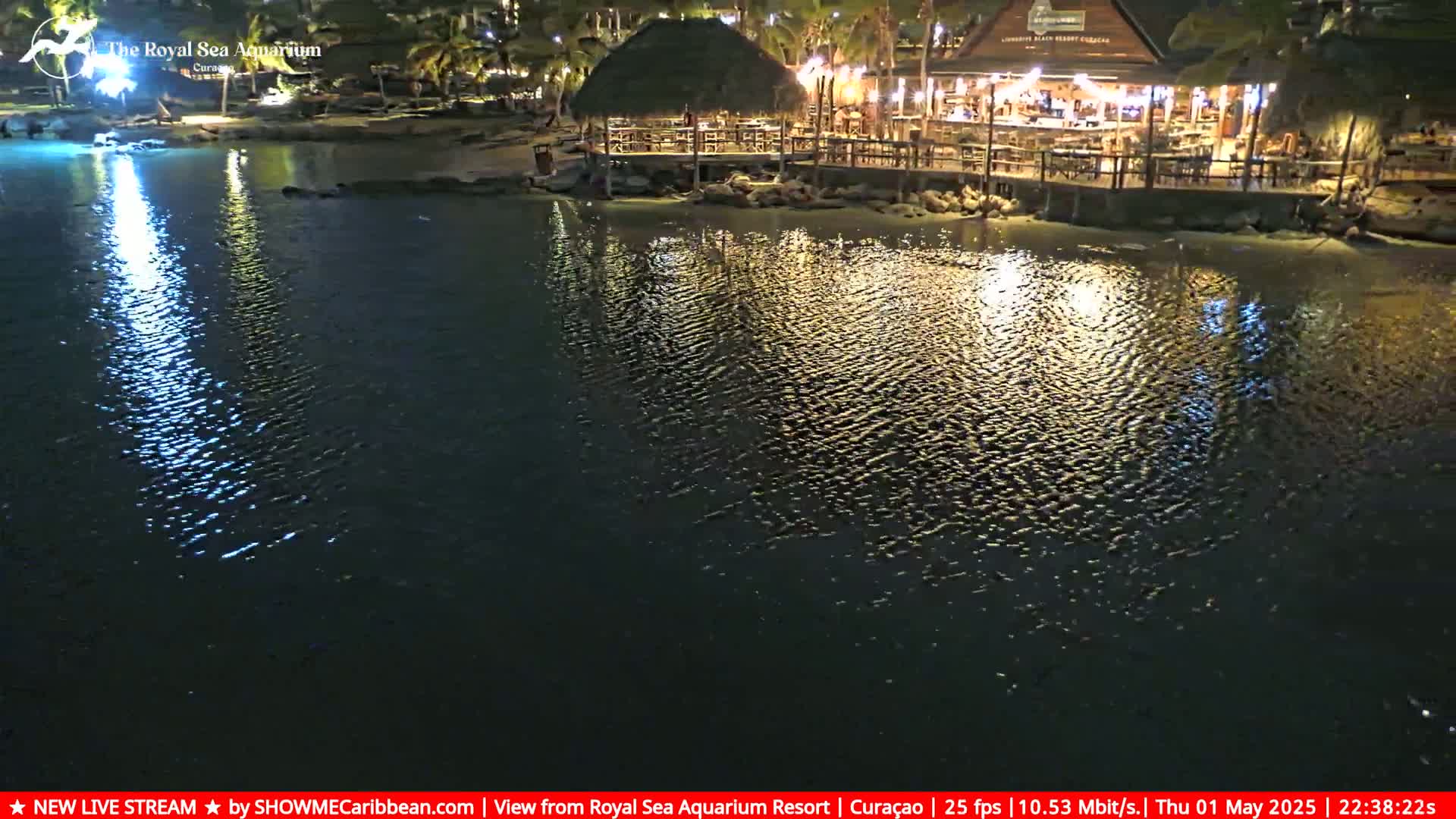 A nighttime view of a waterfront restaurant with a thatched roof, illuminated by lights reflecting on gently rippling water.