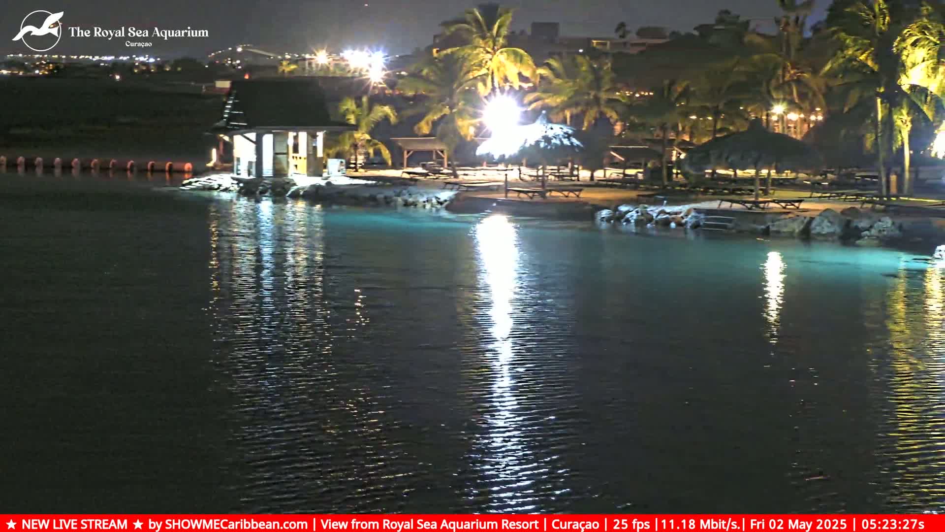 A nighttime view of a calm body of water reflecting lights from a palm tree-lined shore with several outdoor structures.