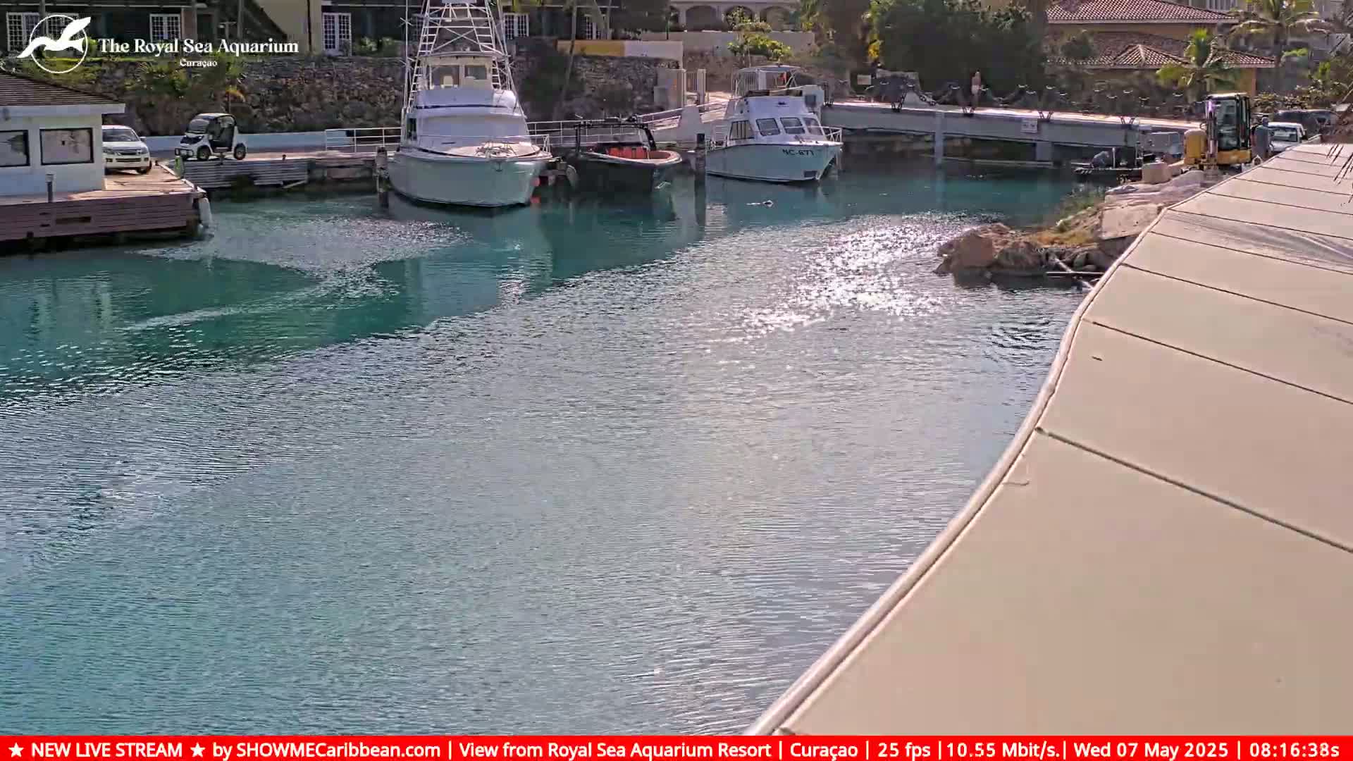 Several boats are docked in a calm, teal-colored marina, with a small construction vehicle visible on the adjacent shoreline.