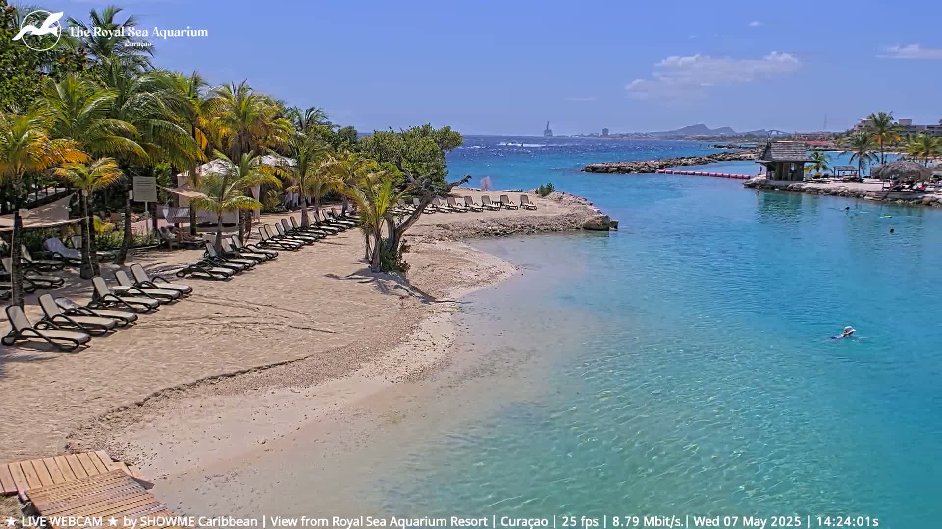 A sandy beach with lounge chairs lines a calm, clear turquoise body of water under a bright sunny sky, palm trees and a small building are visible in the background.