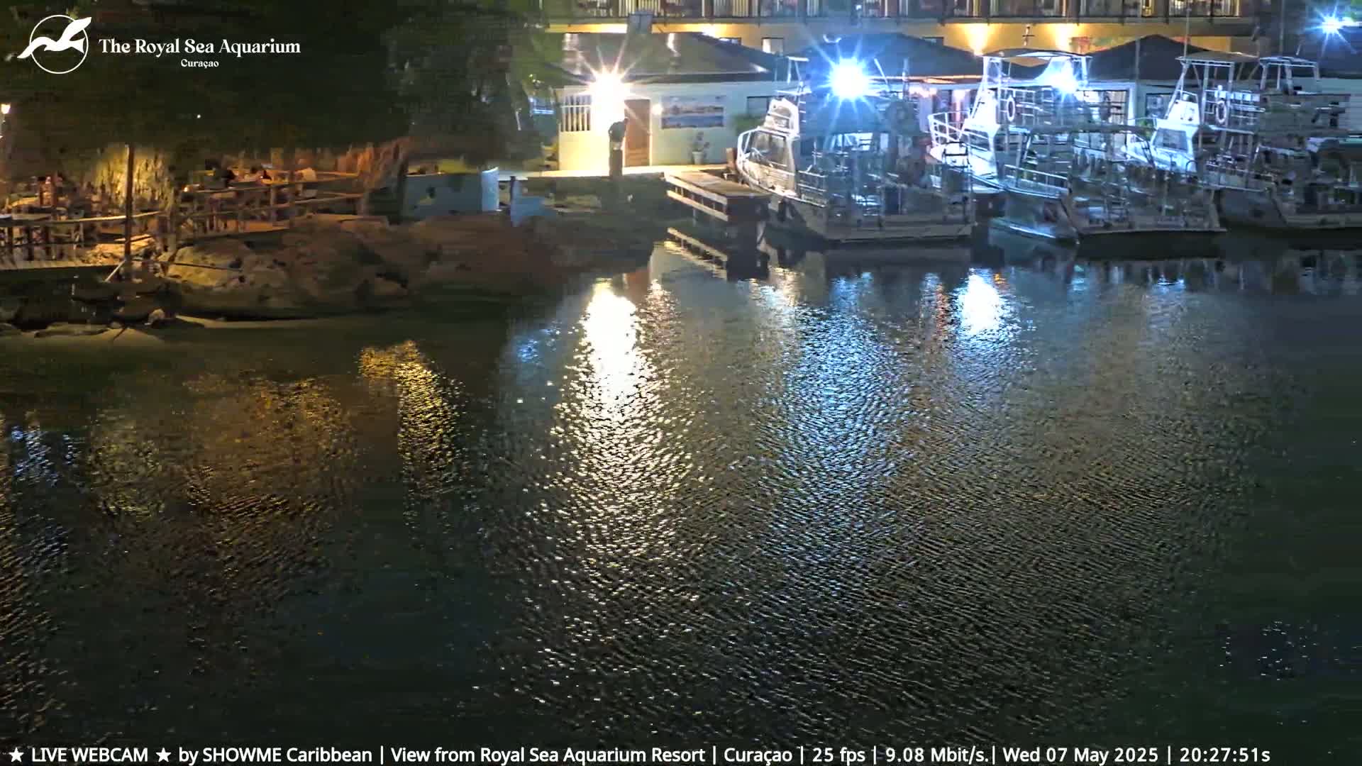 Several boats are docked at a nighttime waterfront, with calm water reflecting the lights.