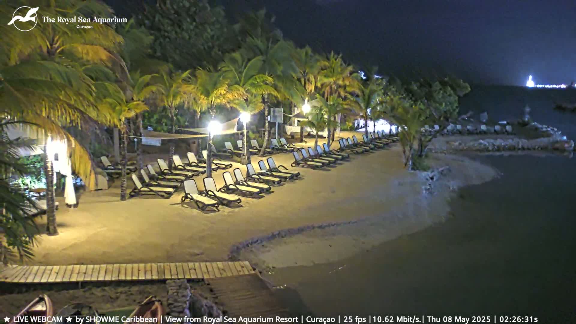A nighttime beach scene shows empty lounge chairs on a sandy shore next to calm water under a clear, dark sky.