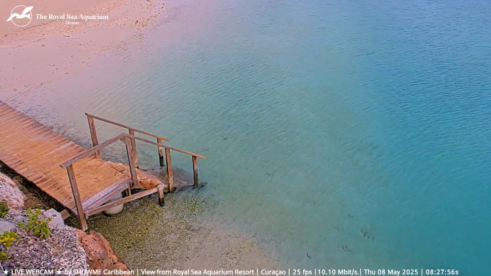 A wooden dock with steps leads down to shallow, clear turquoise water next to a sandy beach.