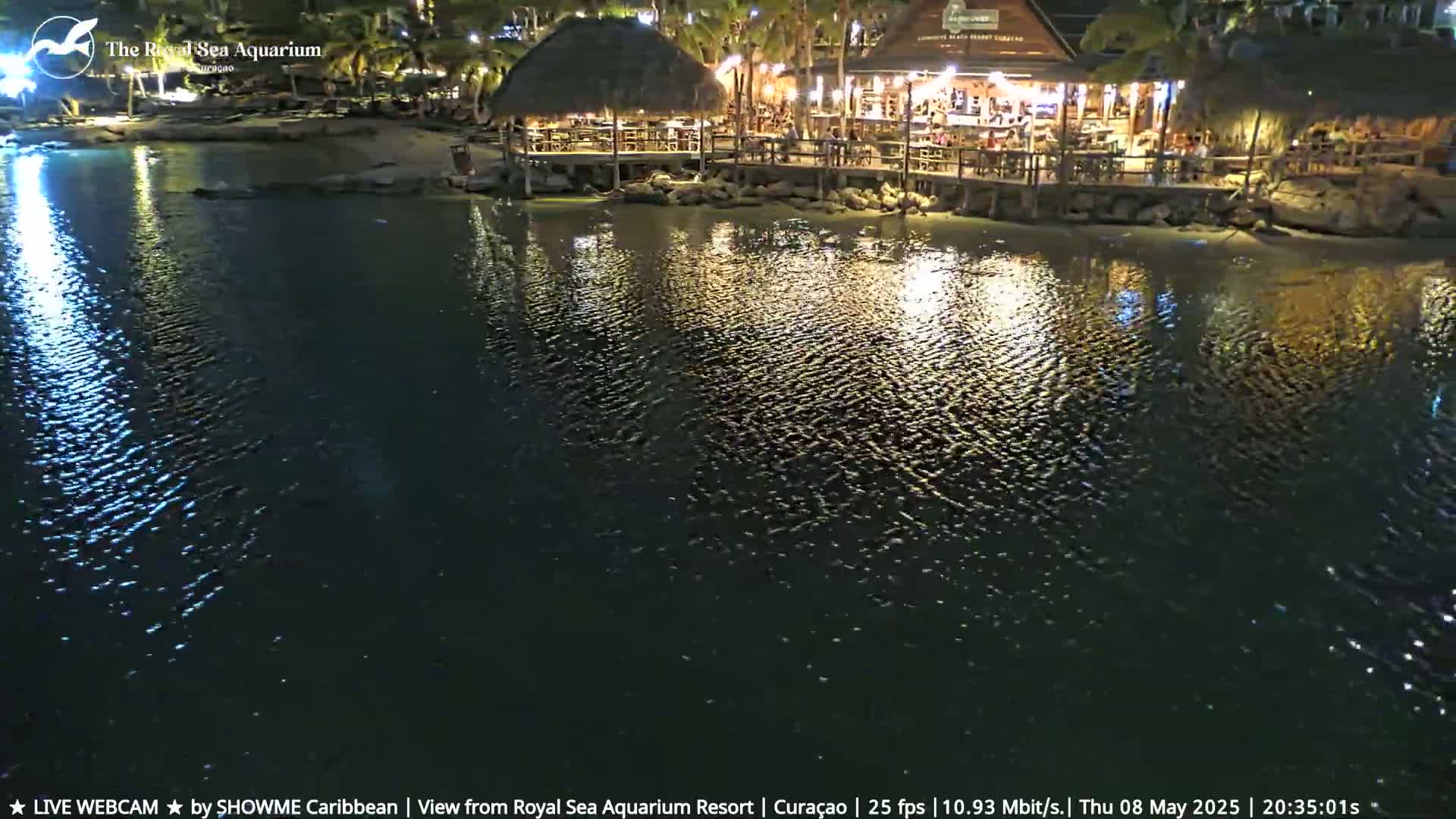 A nighttime view of a waterfront restaurant with a thatched roof, illuminated by lights, reflecting on calm water.