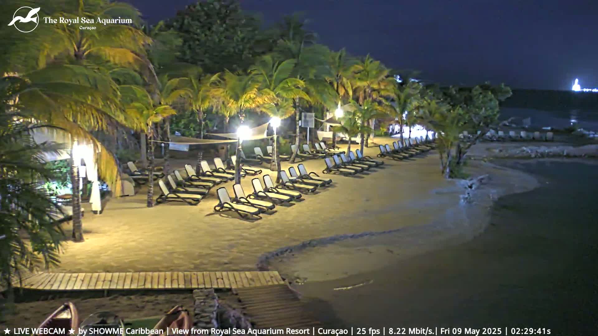 A sandy beach at night, lined with empty lounge chairs under palm trees, is illuminated by artificial lights, with calm water visible nearby.