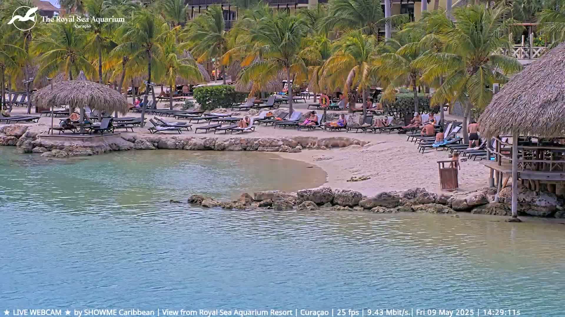 A sandy beach with lounge chairs and thatched-roof huts is partially surrounded by calm, turquoise water, under a sunny sky, and populated by several people relaxing.