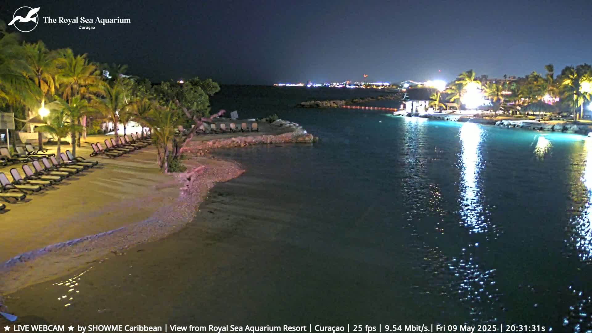 A nighttime view of a sandy beach with lounge chairs, palm trees, and calm, dark-green water reflecting lights from buildings across the water.