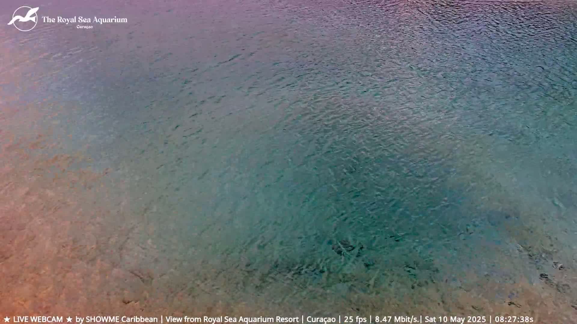 A calm body of teal water shimmers under a mostly clear sky.