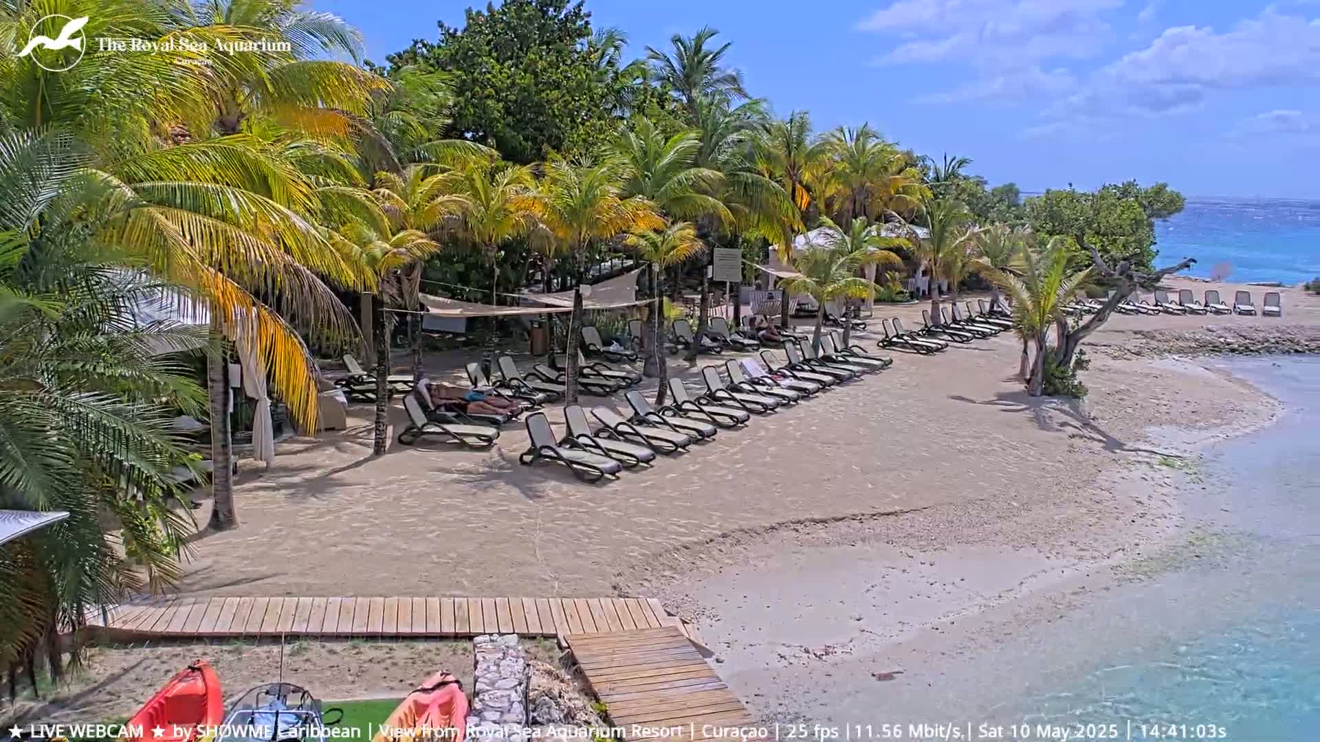 A sandy beach with lounge chairs under palm trees, next to a calm, turquoise ocean under a sunny sky.