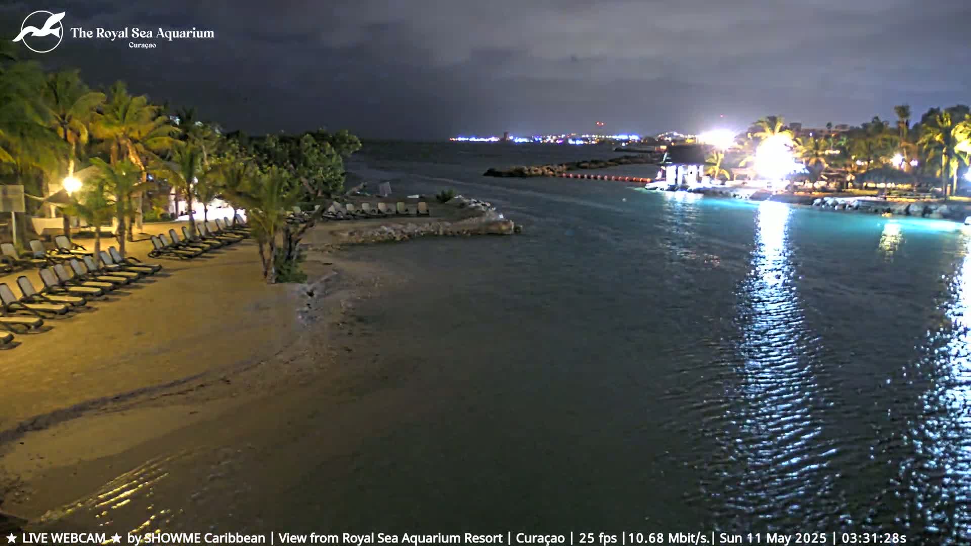 A nighttime beach scene shows empty lounge chairs on a sandy shore, calm water, palm trees, and lights illuminating a resort and the distant city skyline.
