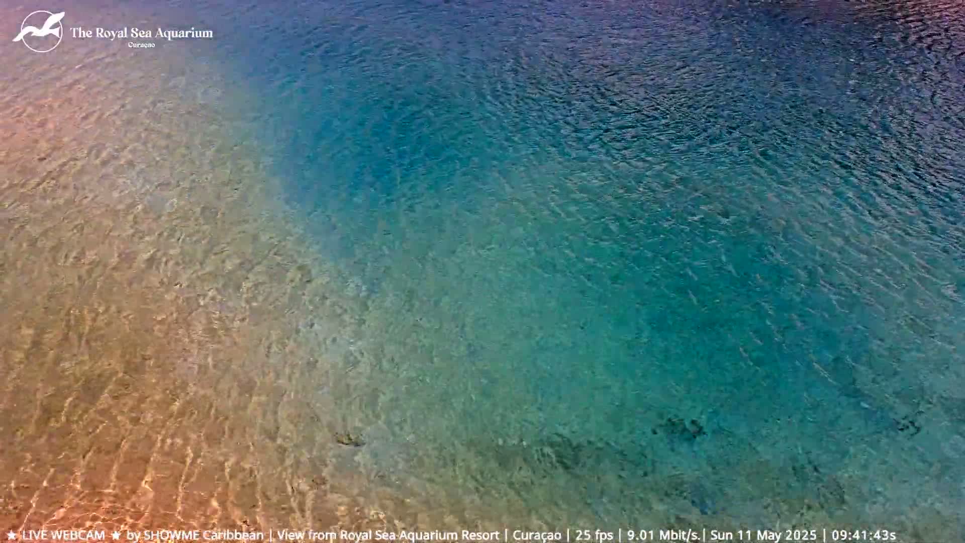 Shallow, clear water gradually deepens from a light tan to a teal blue.
