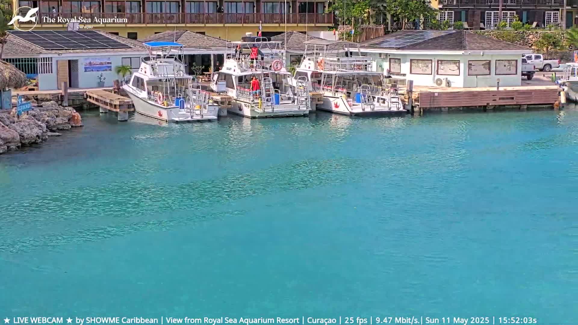 Several tour boats are docked at a marina with turquoise water under a sunny sky.