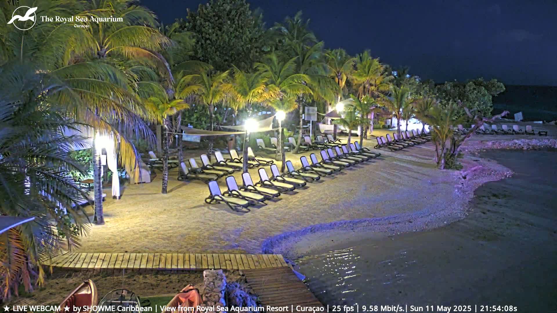 A nighttime beach scene shows many empty lounge chairs on a sandy shore next to calm water, under palm trees illuminated by artificial lights.