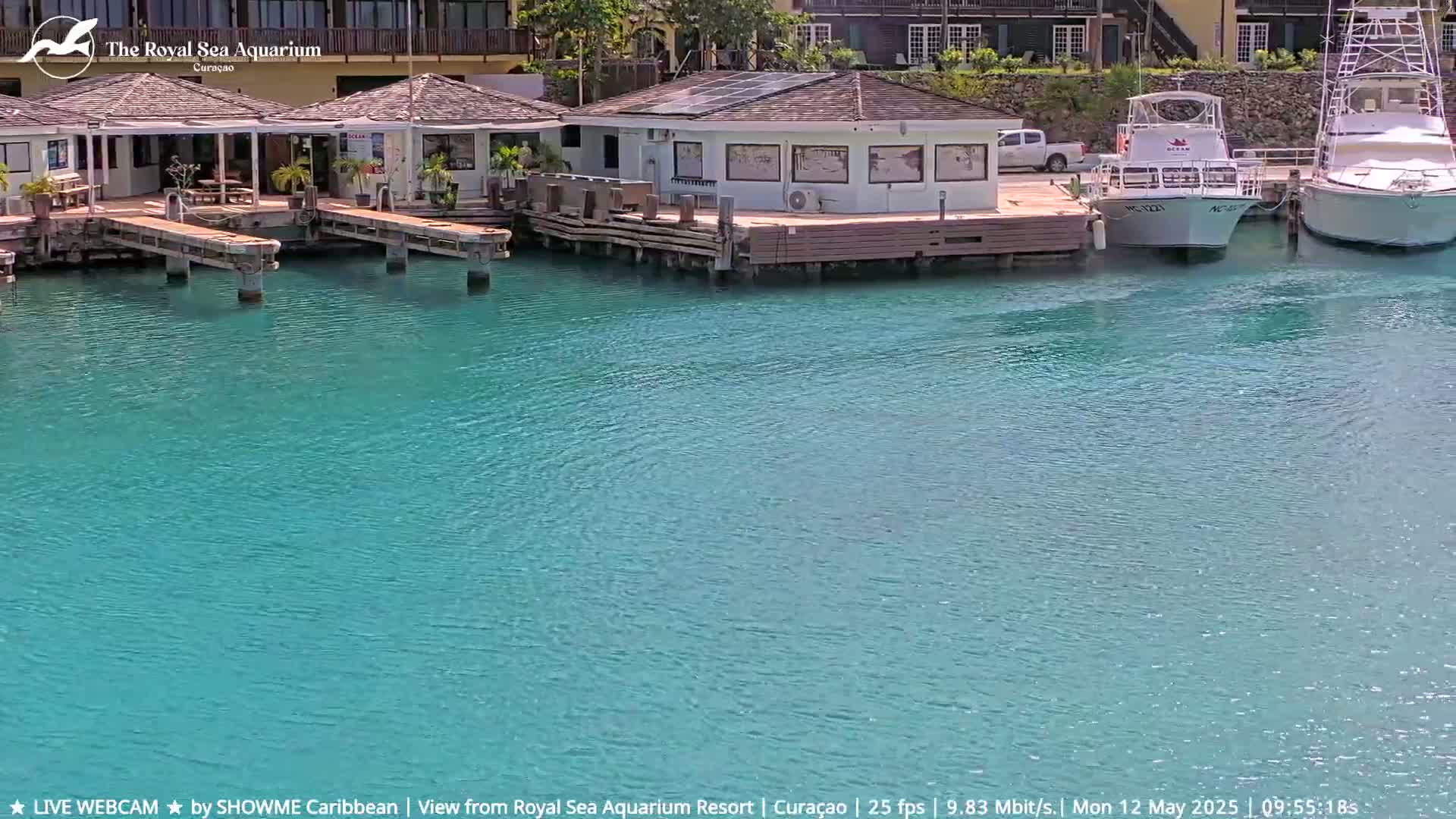 Two small, light-colored buildings with docks extending into calm, turquoise water, where several boats are moored.