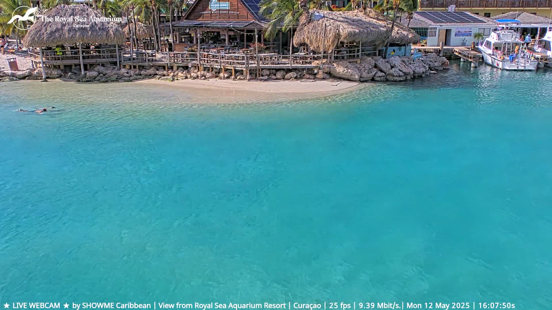 A person swims in clear, turquoise water near a beachfront restaurant and boats docked at a marina on a sunny day.