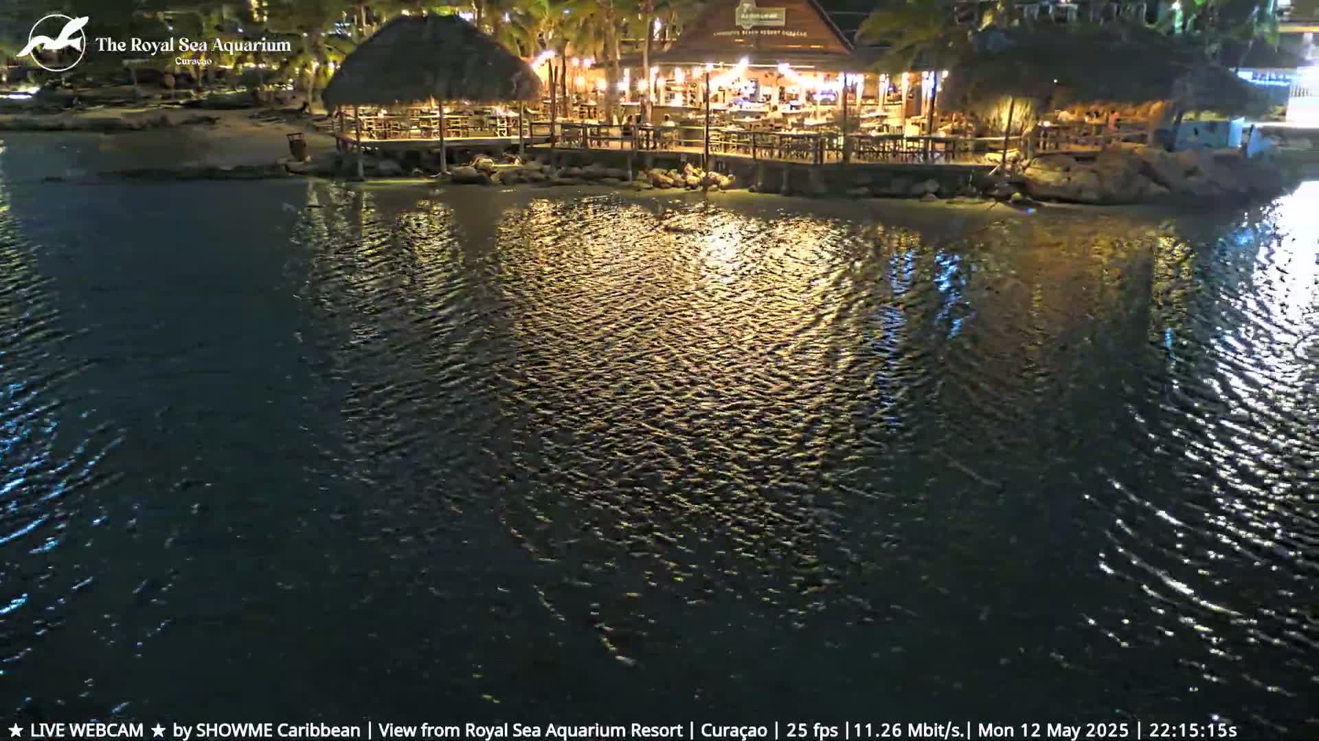 A brightly lit waterfront restaurant with a thatched roof is seen at night, reflected in gently rippling water.