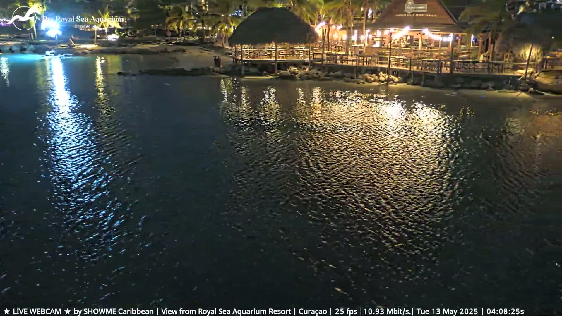 A nighttime view of a calm body of water reflecting the lights of a beachfront restaurant with a thatched roof under a clear sky.