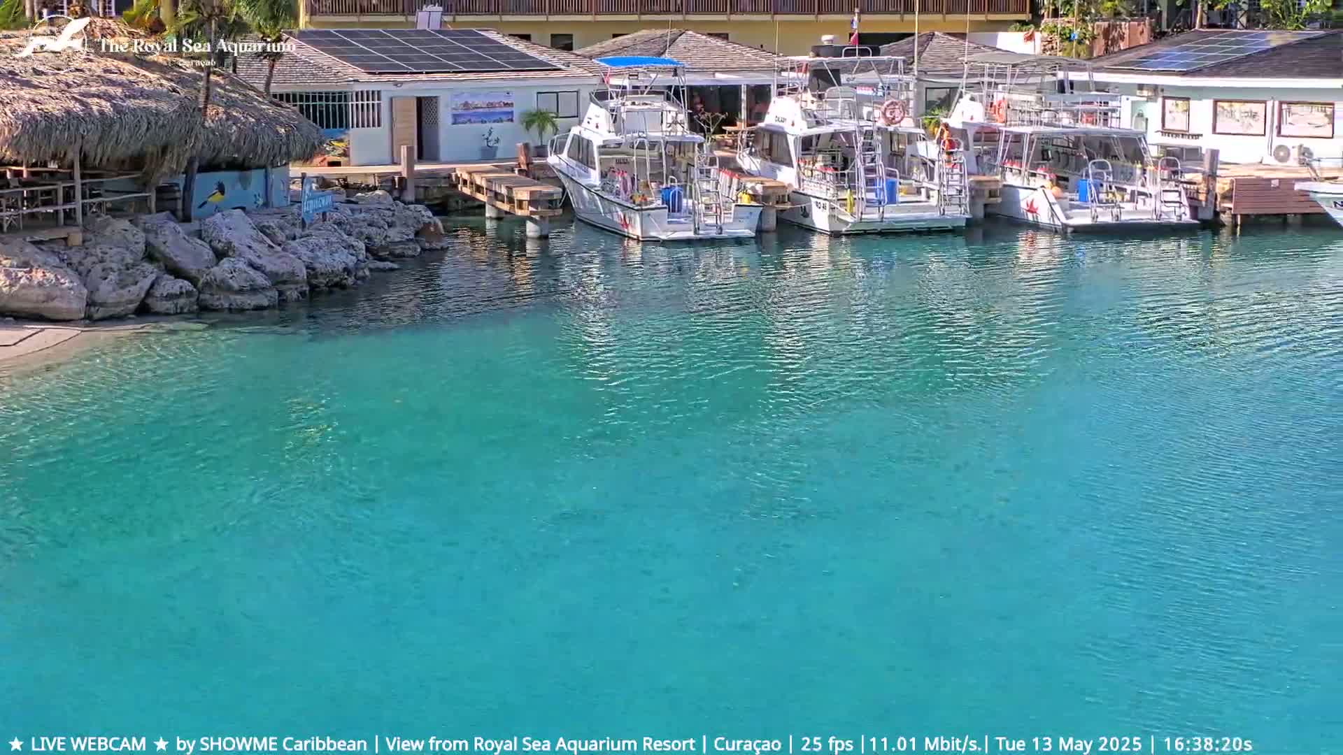 Several white boats are docked at a waterfront facility with a thatched-roof structure, in calm, clear turquoise water under a sunny sky.