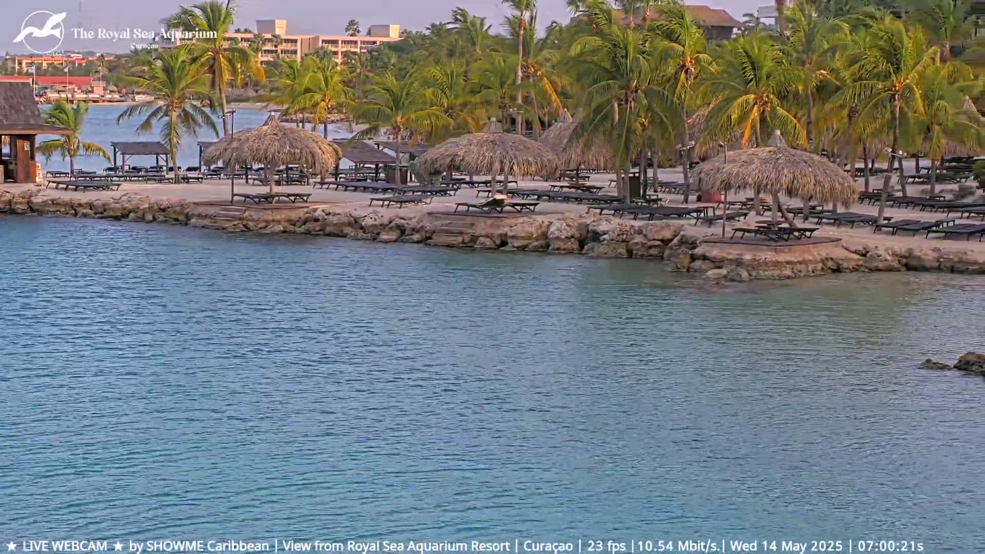 A tranquil beach scene shows a sandy shore lined with thatched umbrellas and lounge chairs, bordered by calm, turquoise water and lush palm trees.