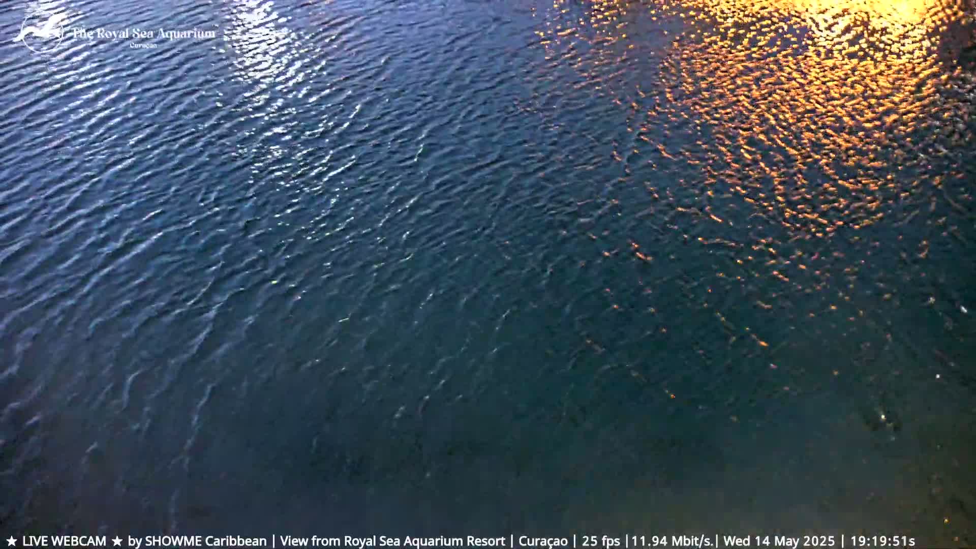 Dark blue water with small waves reflects orange-yellow light.