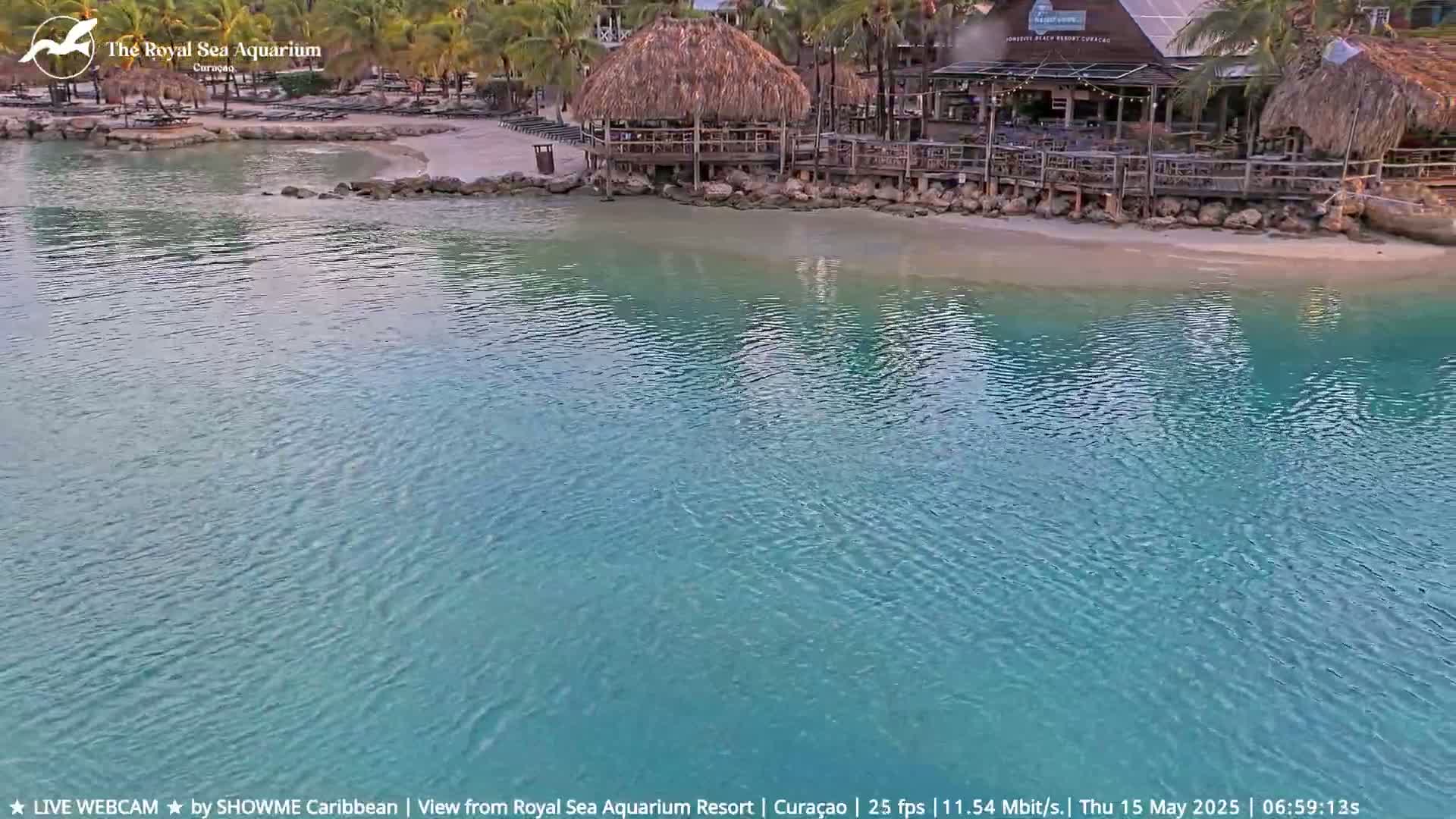 Calm, teal water laps a sandy beach with palm trees and a thatched-roof beachfront restaurant.