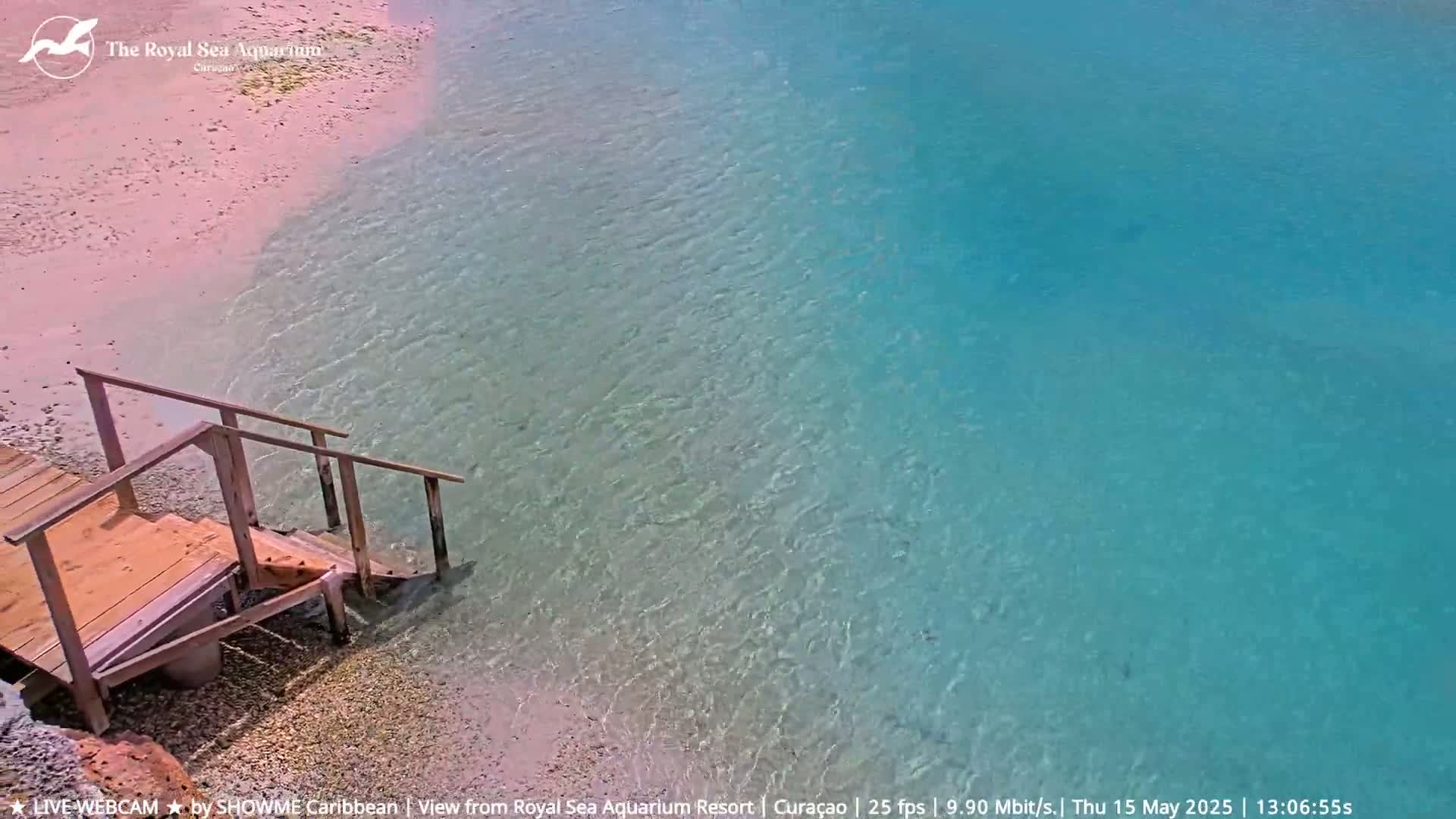 A wooden staircase leads down to a calm, shallow turquoise ocean from a pink sandy beach.