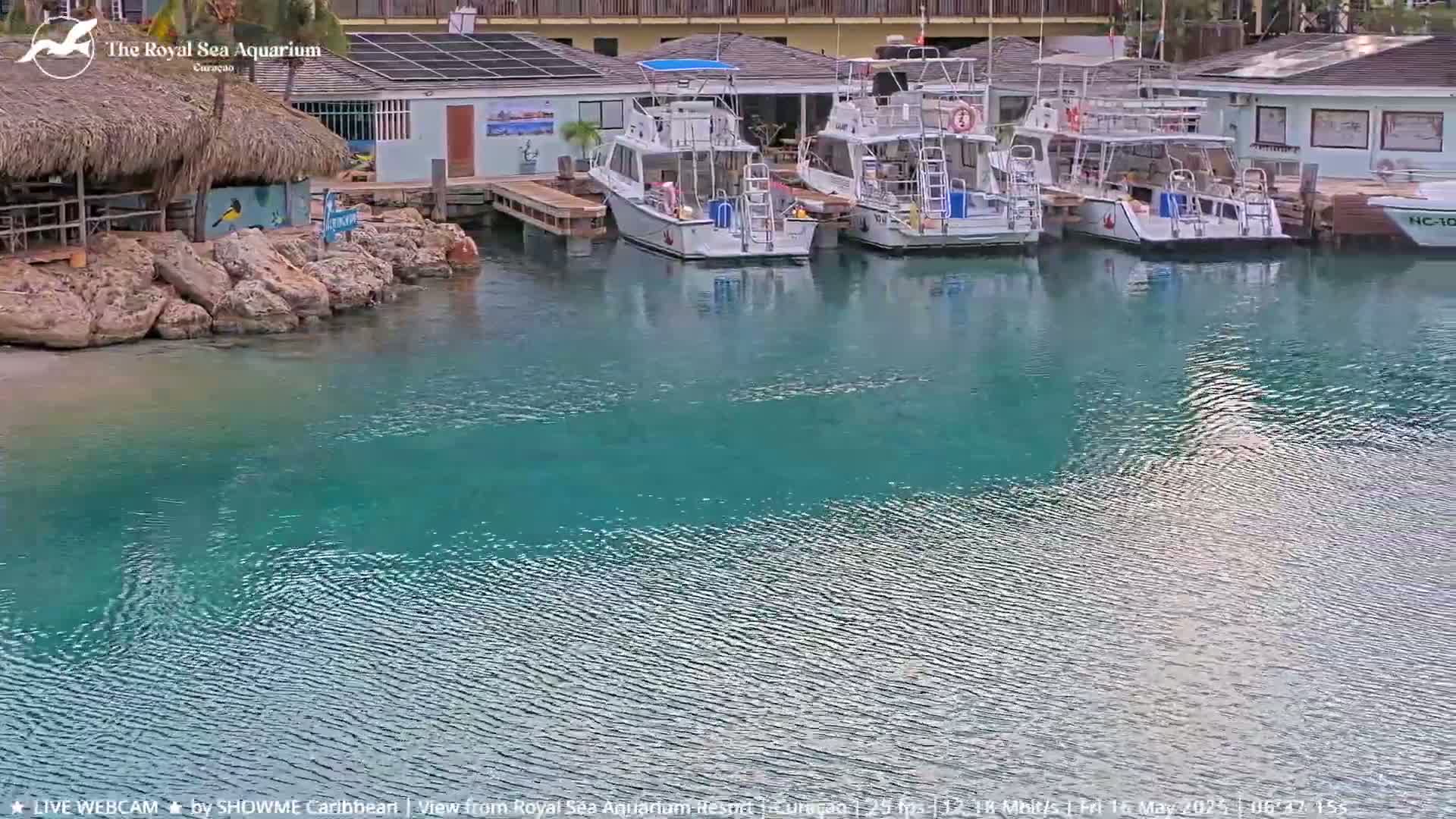 Several white boats are docked at a waterfront building next to calm, teal water.