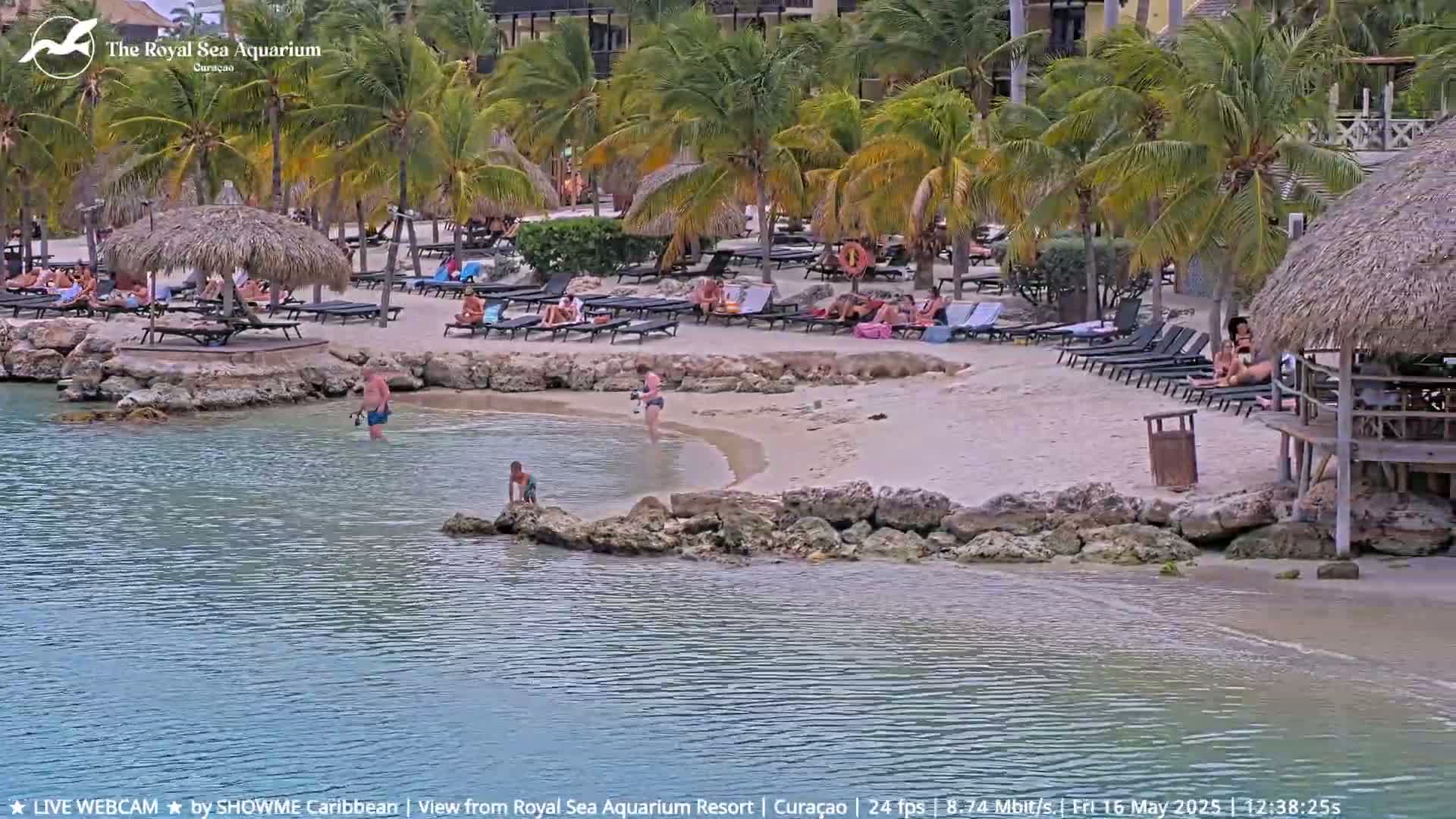 A calm, sunny day at a beach with palm trees, people relaxing on lounge chairs, and a few people in the water.