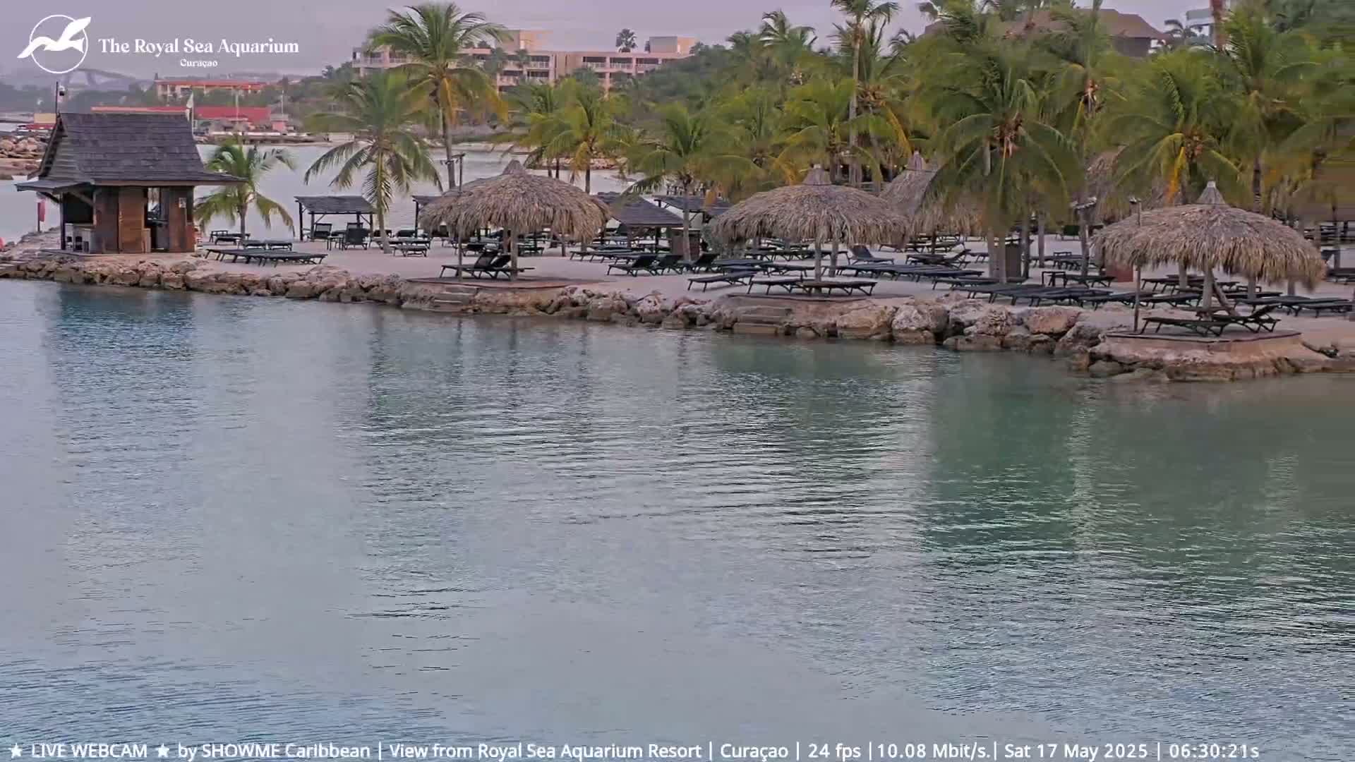 A sandy beach with thatch-roofed cabanas and lounge chairs sits on a calm body of water, bordered by palm trees and a building in the background.