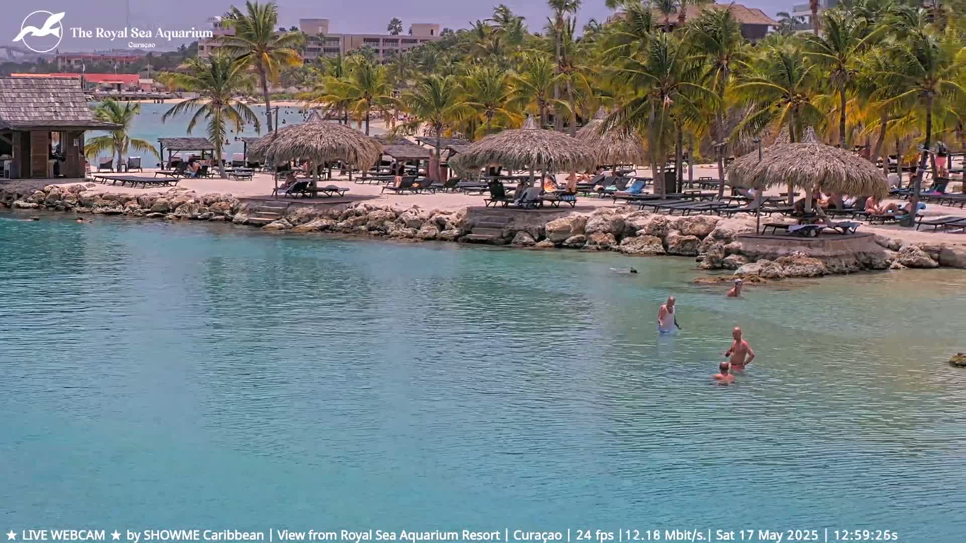 A tranquil beach scene with palm trees, thatched umbrellas, and several people swimming in clear turquoise water under a sunny sky.