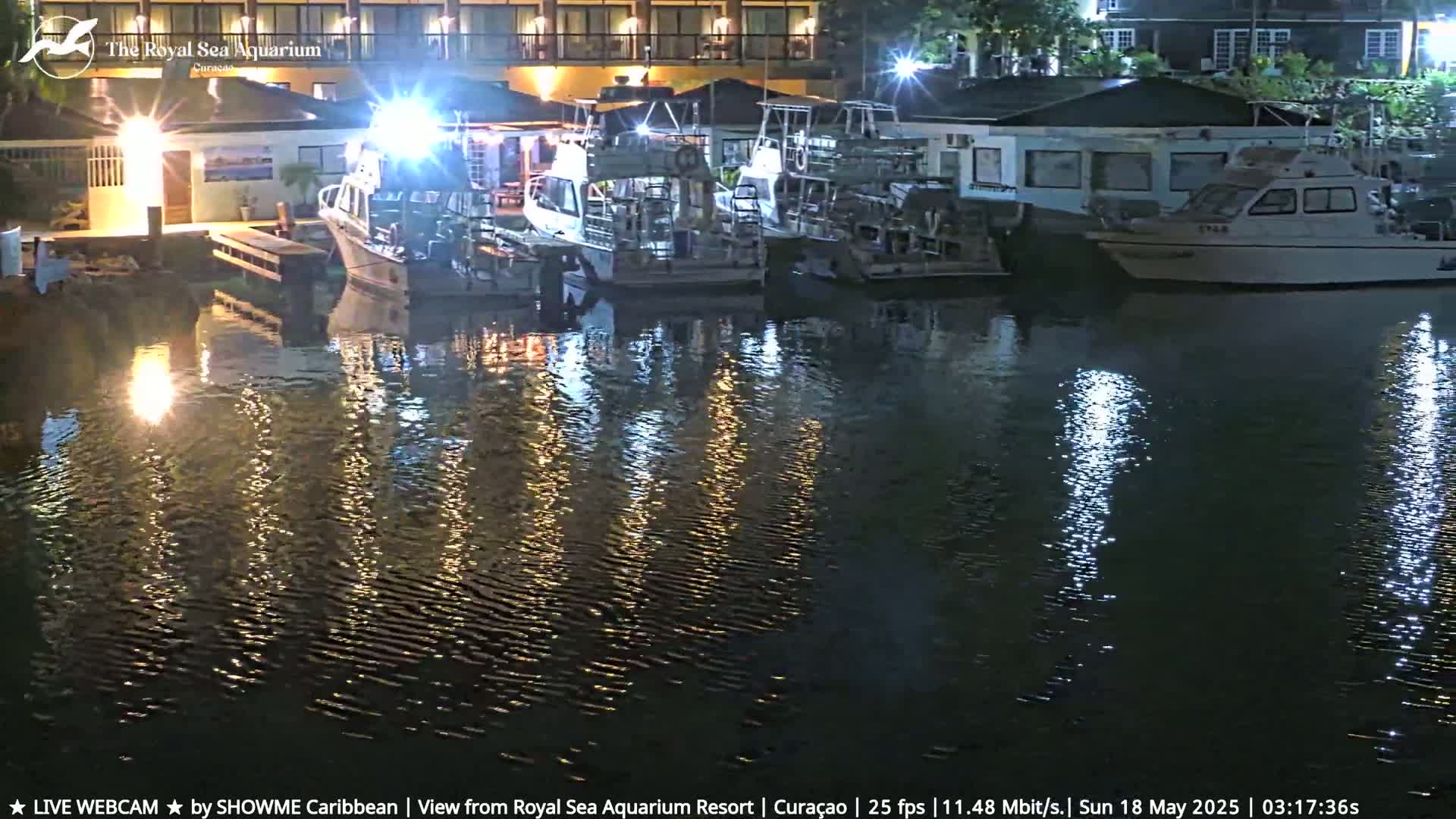 Several boats are moored at a dock at night, their reflections shimmering on the calm water.
