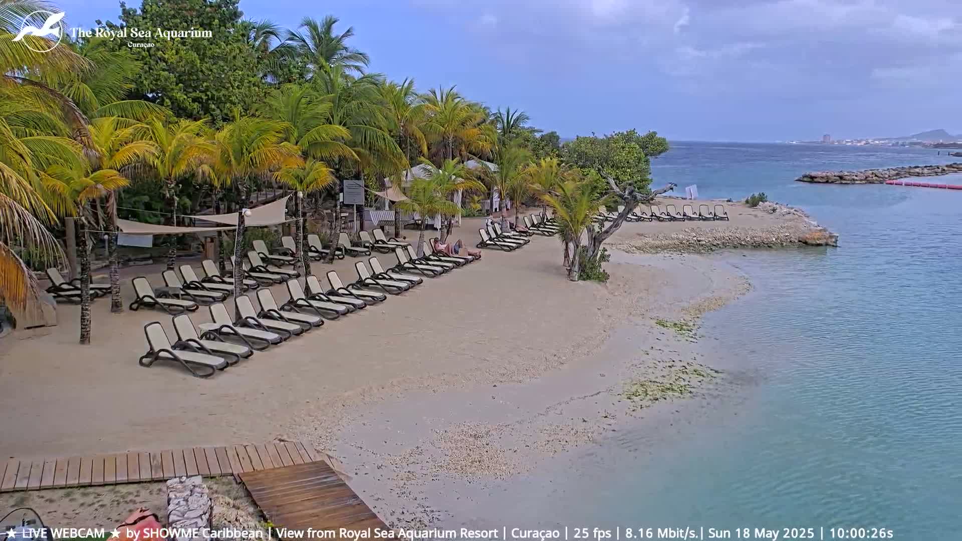 A sandy beach with lounge chairs under palm trees next to calm, turquoise water on a partly cloudy day.