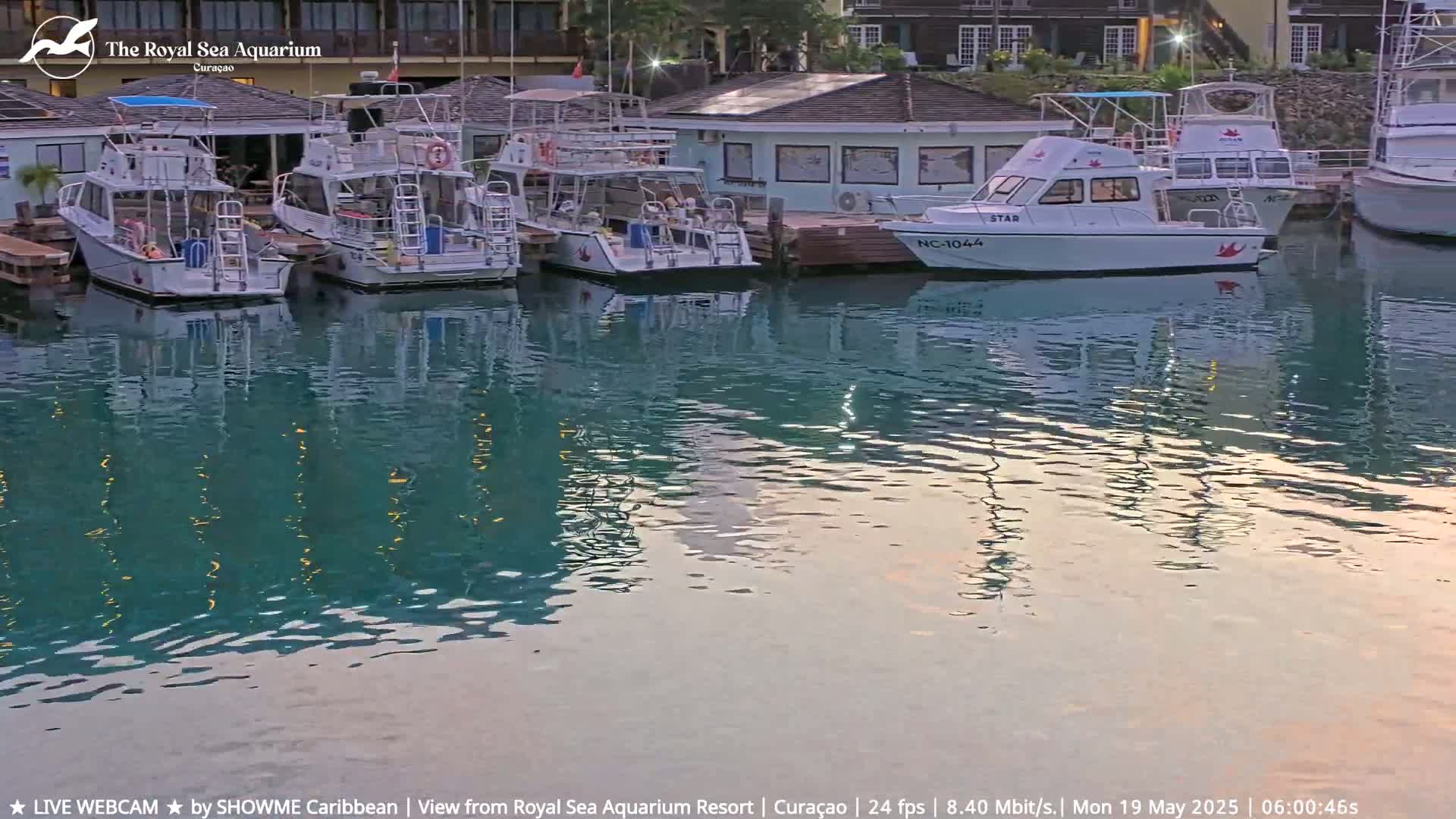 Several small boats are docked at a marina, their reflections visible in the calm, teal water.
