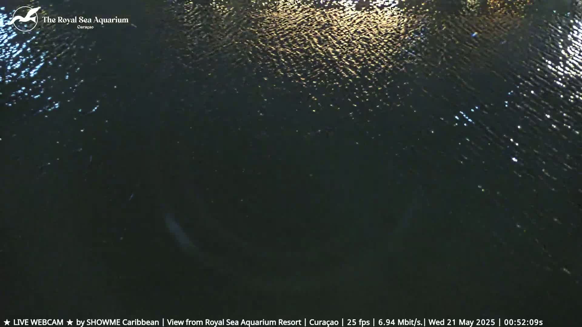 Willemstad, The Royal Sea Aquarium Resort Beach Live Cam - Willemstad, Curacao, Netherland 