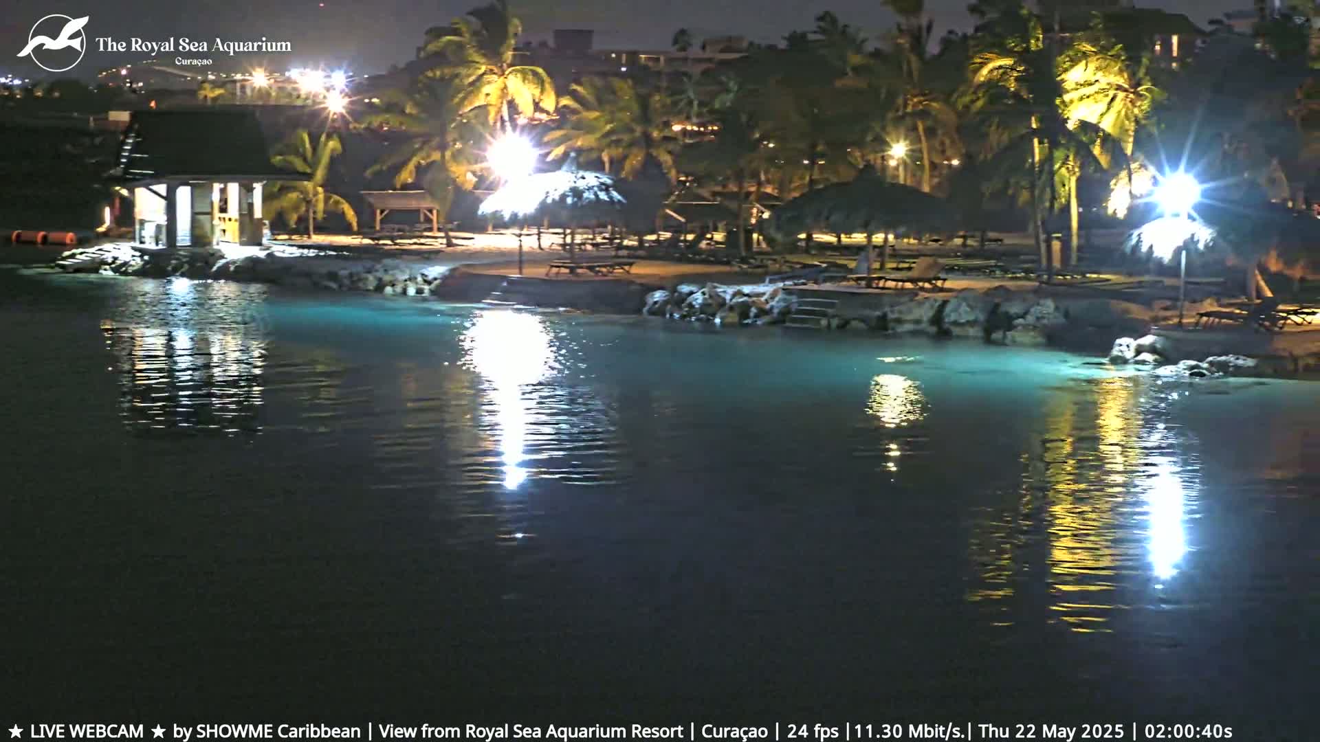 A nighttime view of a resort's waterfront, illuminated by lights, showing palm trees, a beach, and a calm body of water.