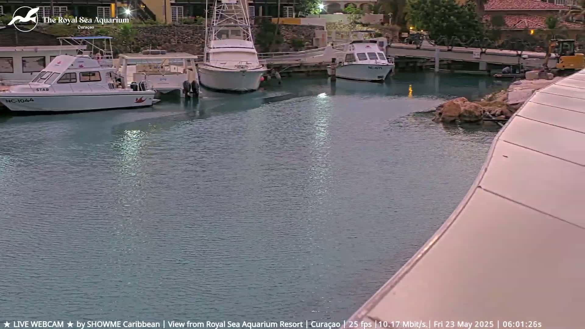 Several boats are moored in calm, dark-green water near a waterfront building.