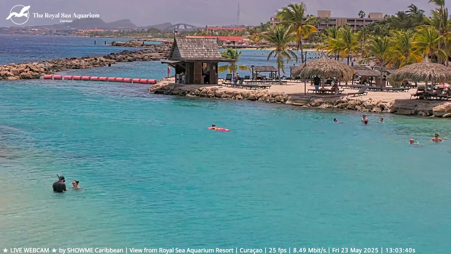 A calm, turquoise body of water surrounds a sandy beach with palm trees, thatched umbrellas, lounge chairs, and a small wooden building, with several people swimming and relaxing.