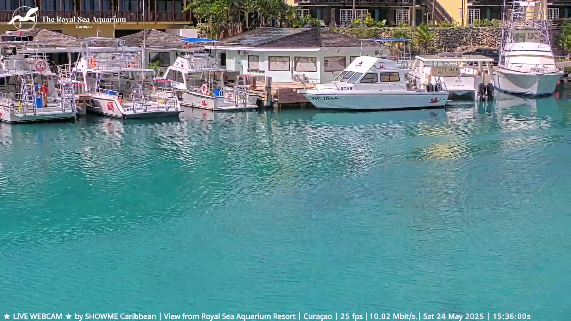 Several boats are docked at a marina with calm, turquoise water.