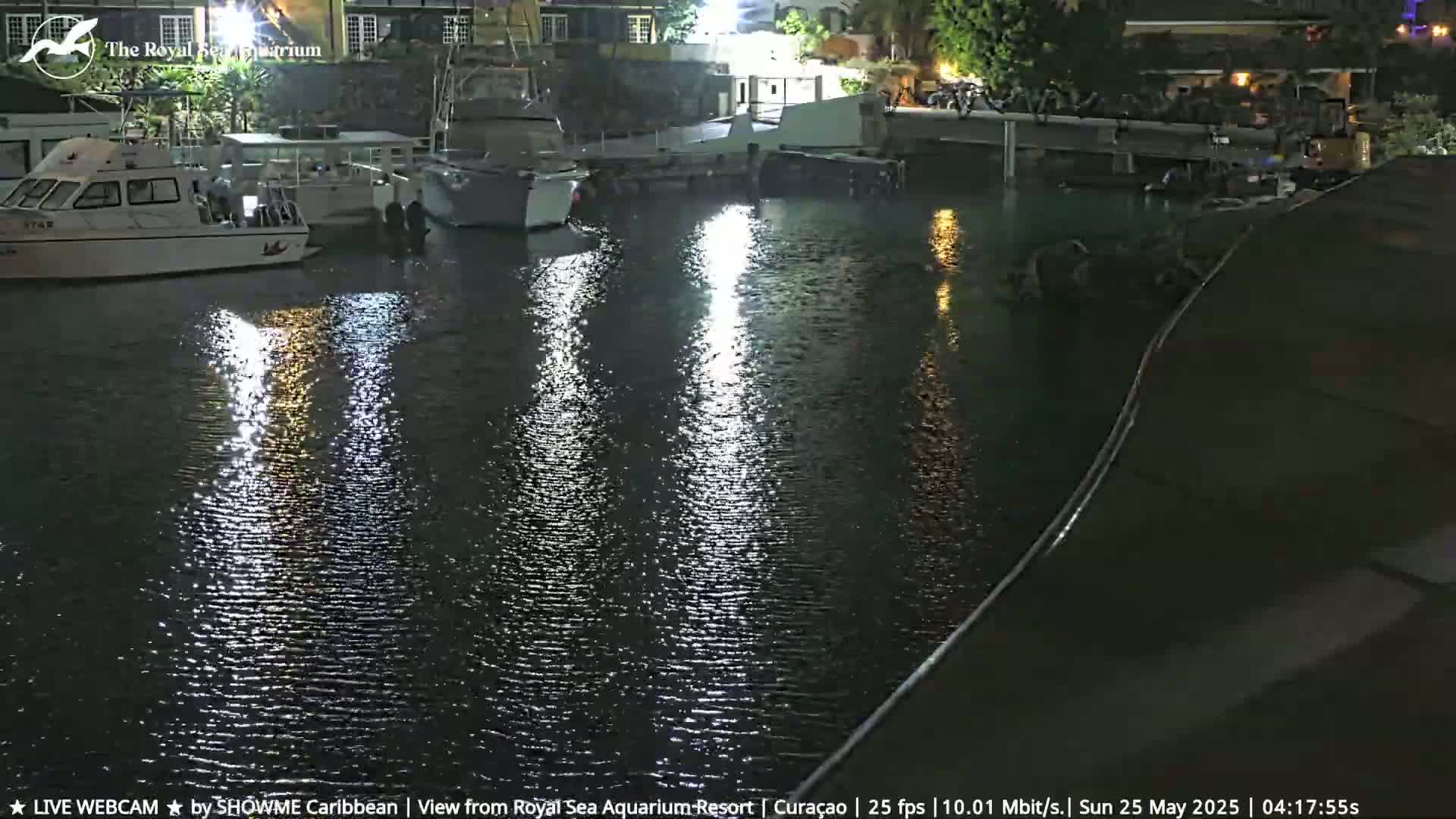 At night, several boats are moored in a calm, dark body of water reflecting lights from nearby buildings.