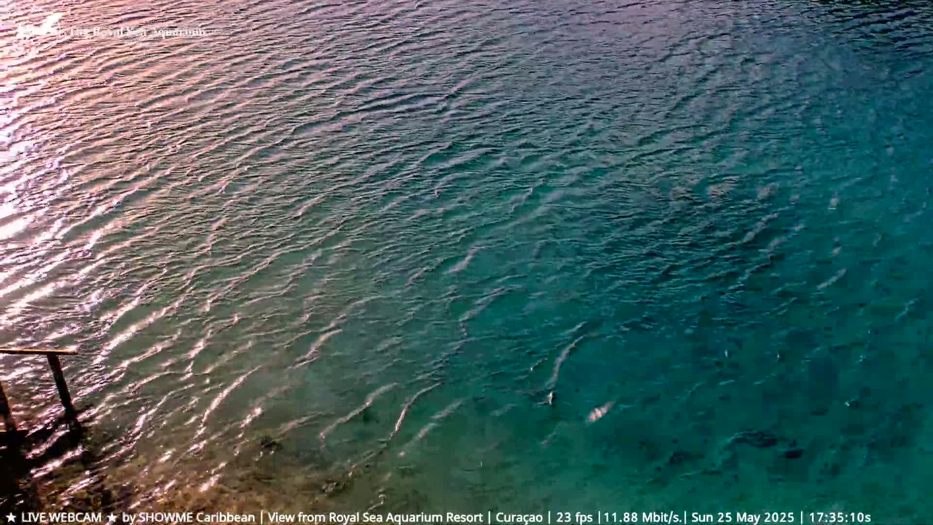 A section of teal-colored water with small waves is visible, with a wooden railing partially submerged in the water at the lower left.