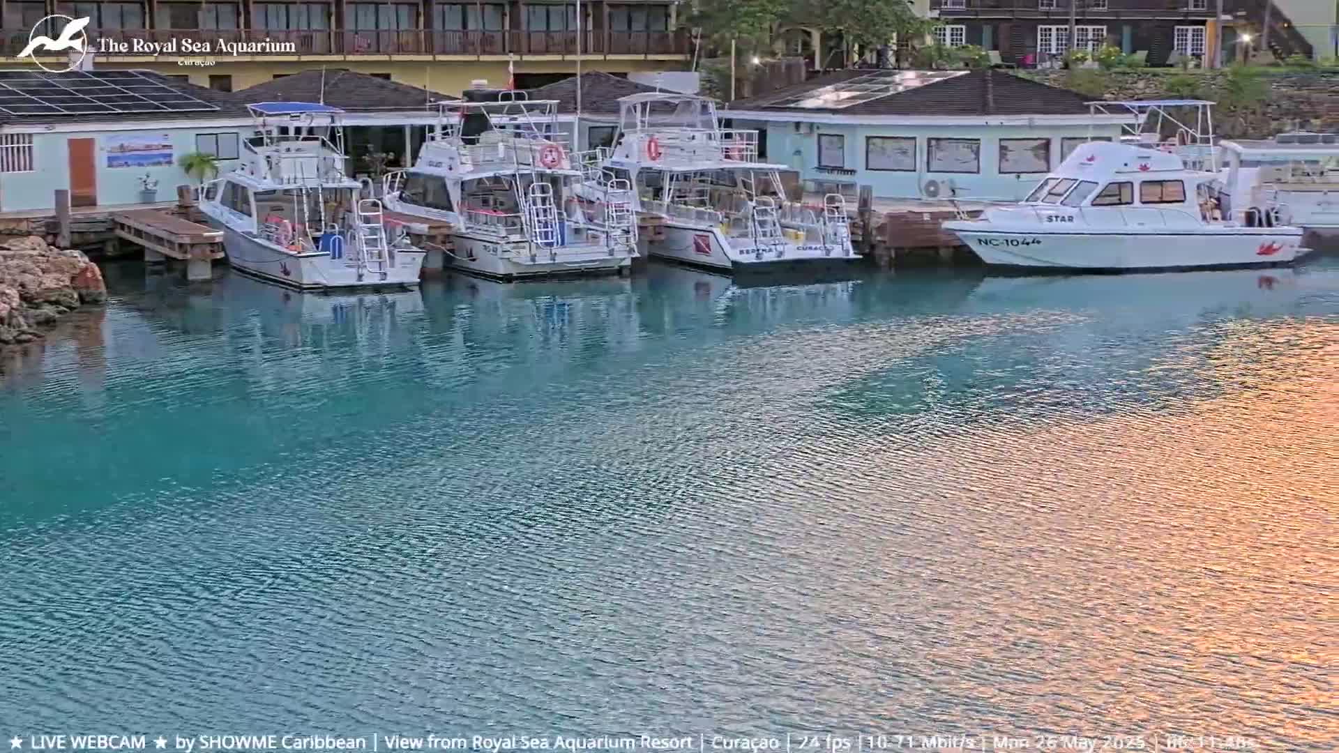 Several white boats are docked at a marina with calm, turquoise water under a partly cloudy sky.