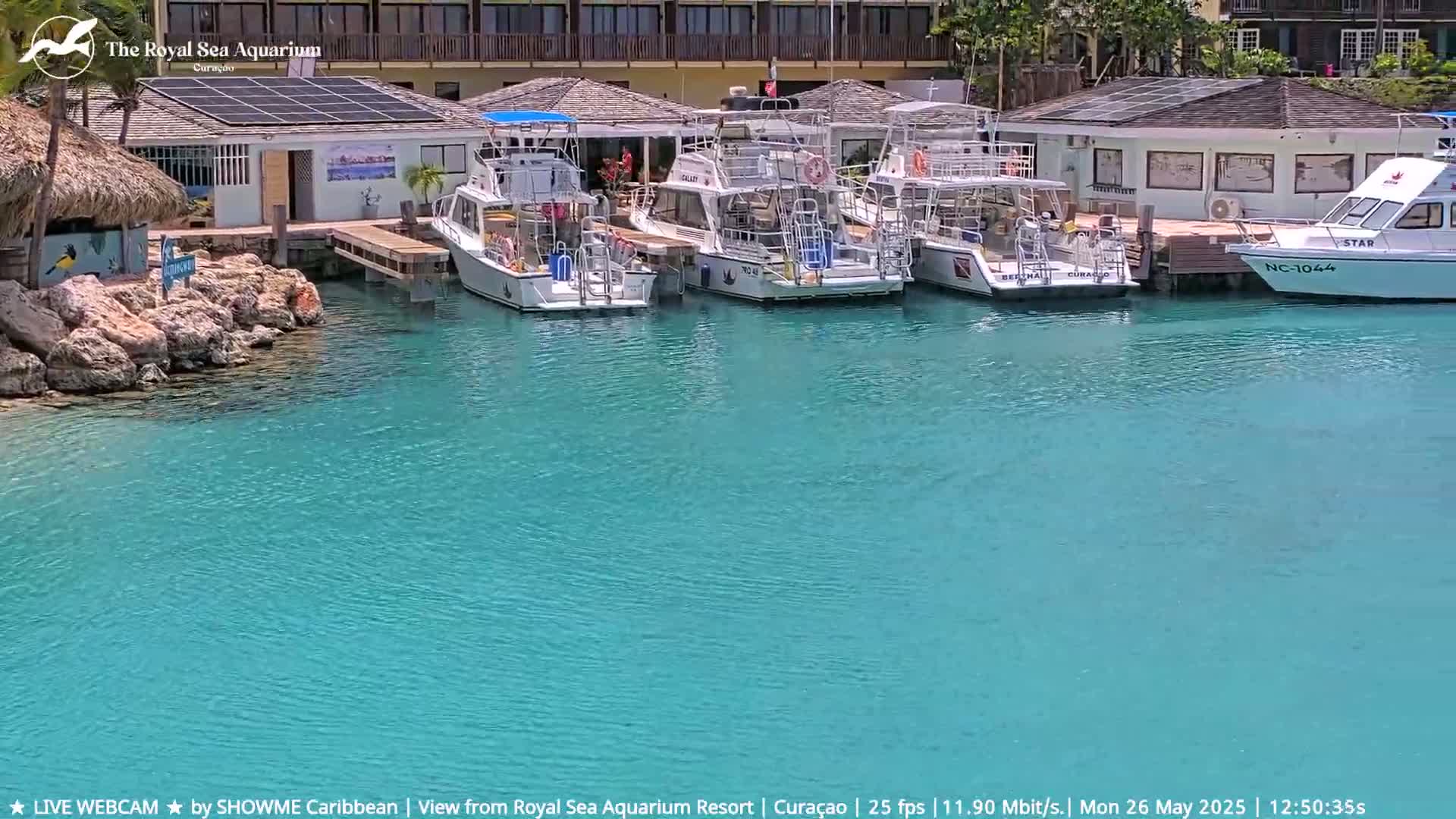 Several boats are docked at a marina with calm, turquoise water, next to a building and a thatched-roof structure.