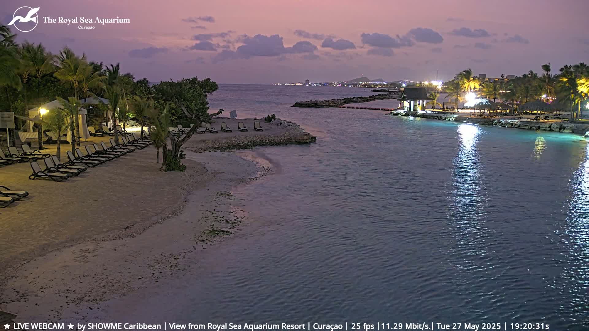 A tranquil beach scene at dusk shows empty lounge chairs on a sandy shore next to a calm body of water, with palm trees and lights visible in the background.