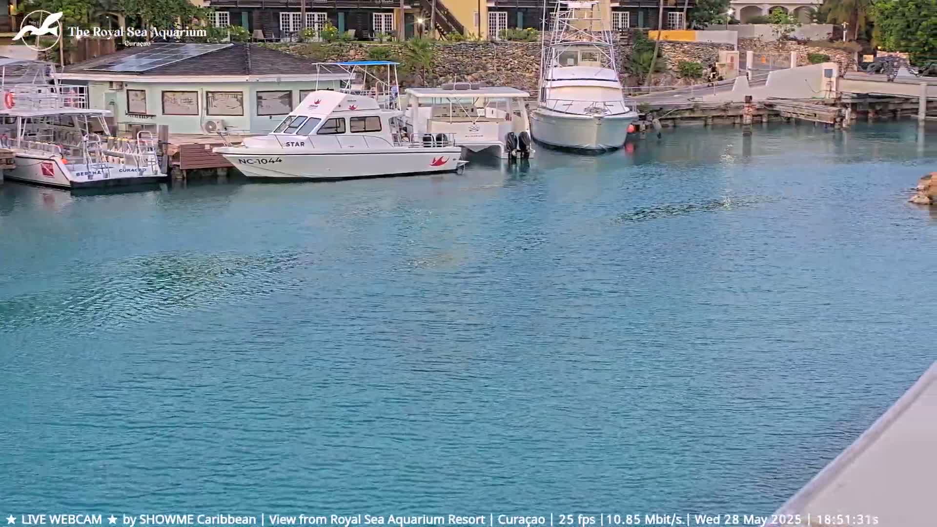 Several boats are moored in a calm, turquoise harbor next to a building.