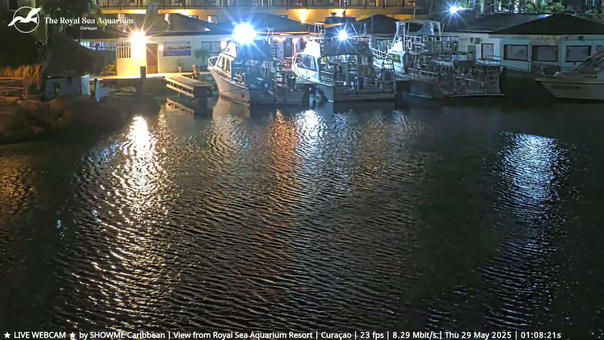 Several boats are docked at a marina at night, with calm water reflecting lights on its surface.