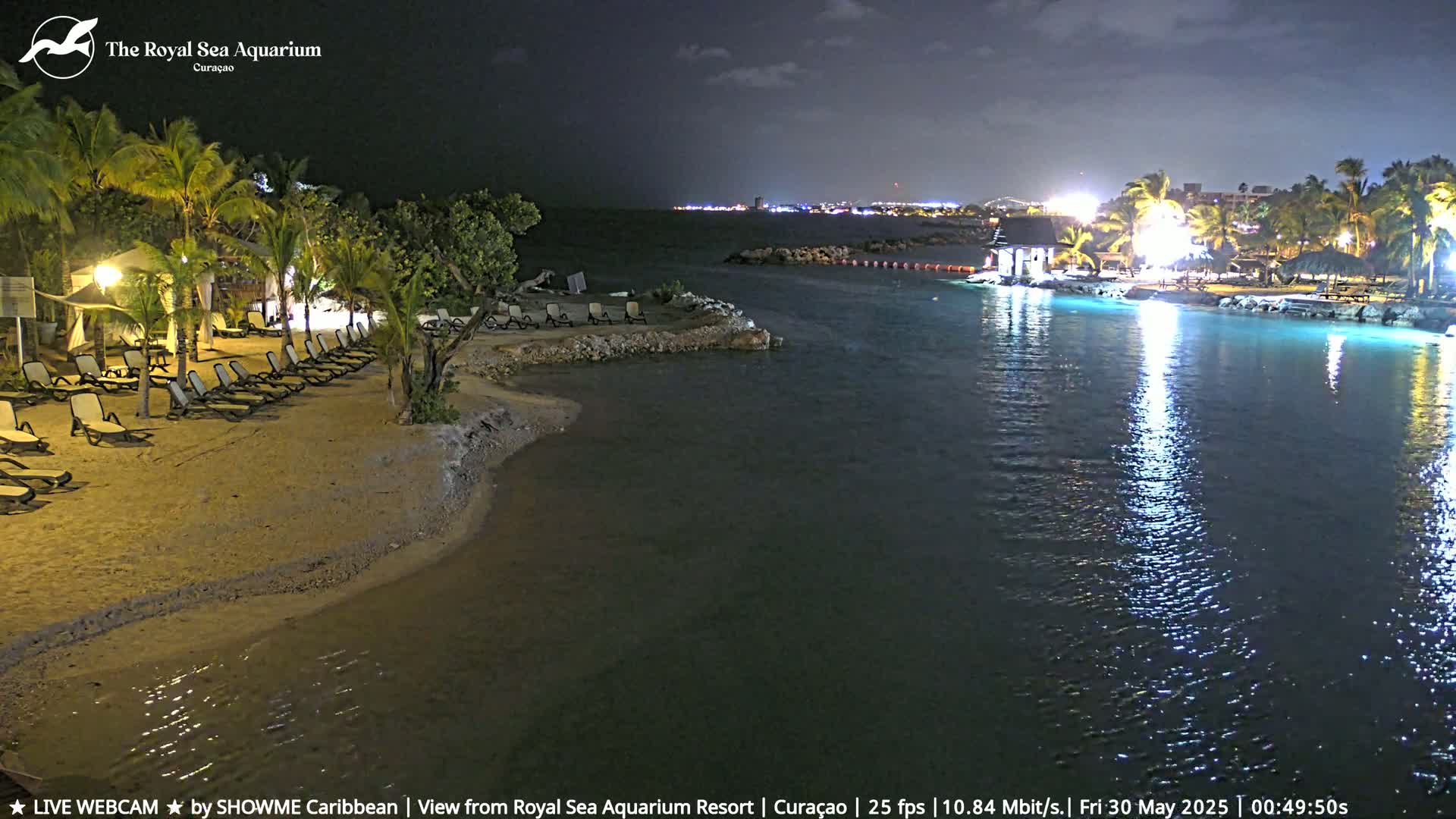 A nighttime beach scene shows a calm body of water reflecting lights from a nearby resort, with empty lounge chairs on a sandy shore lined with palm trees.