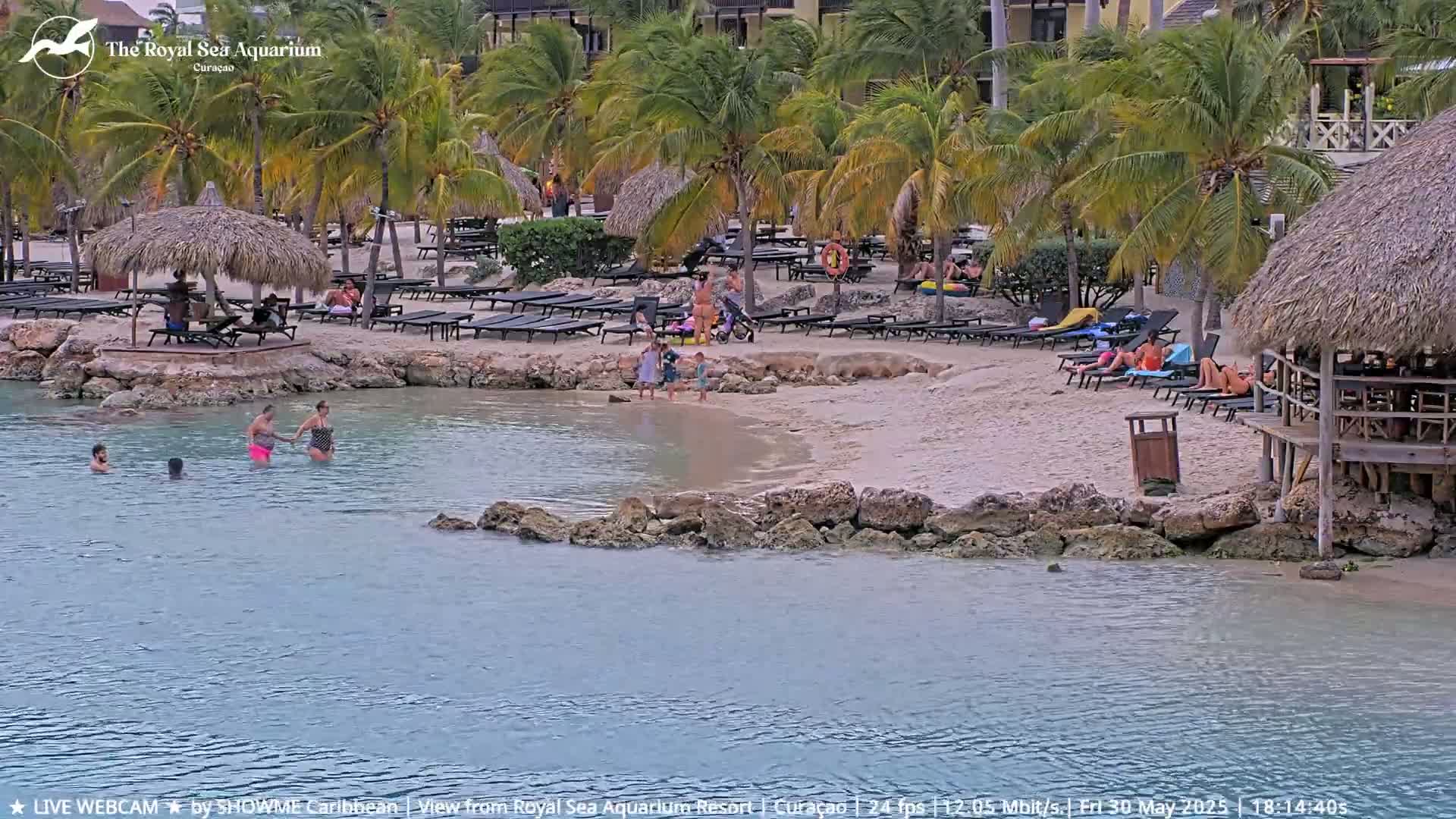 A calm, shallow body of water laps a sandy beach with palm trees, lounge chairs, thatch-roofed cabanas, and several people swimming and relaxing.