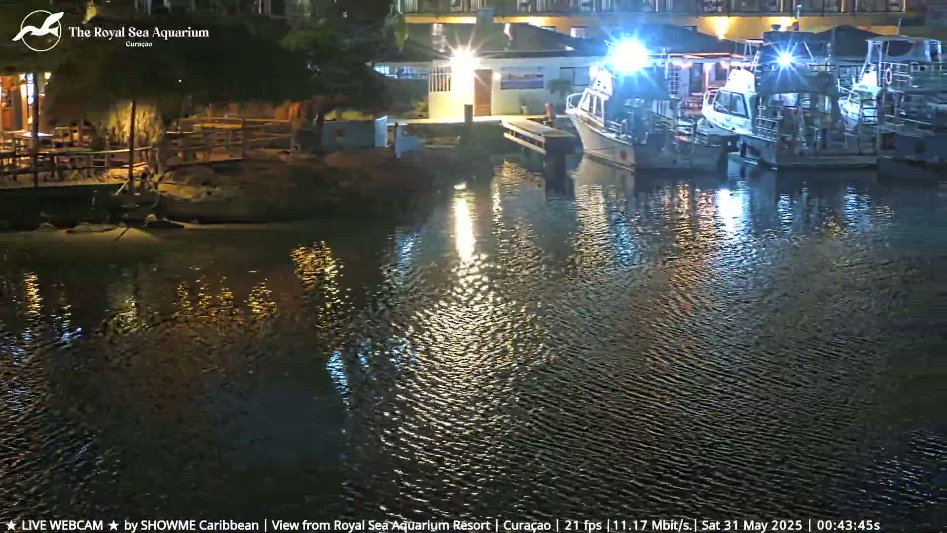 Several boats are moored at a dock at night, their lights reflecting on the calm water.